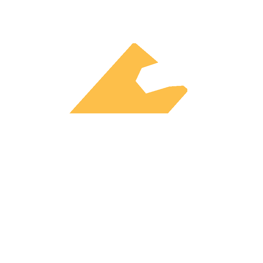 Campaign Captains
